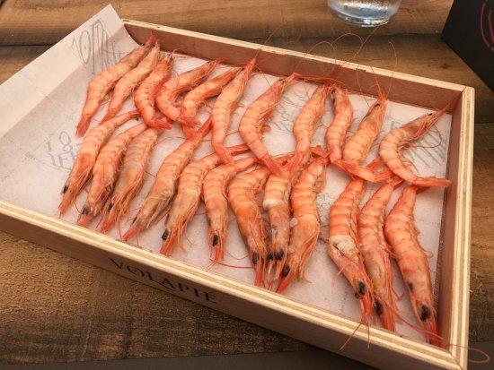 Taberna del Volapie Torremolinos